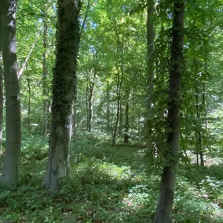 Le Dome De - Nuit Insolite Dans Les Bois 那慕尔