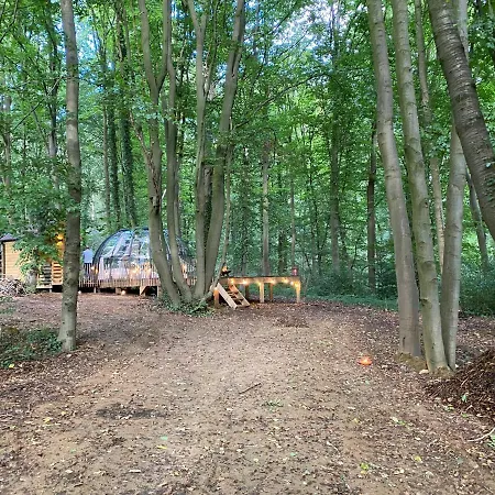 Le Dome De - Nuit Insolite Dans Les Bois Kamp alanı Namur