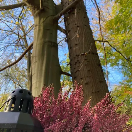 Le Dome De - Nuit Insolite Dans Les Bois