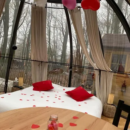Le Dome De - Nuit Insolite Dans Les Bois 那慕尔