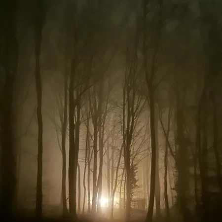 Kamp alanı Le Dome De - Nuit Insolite Dans Les Bois