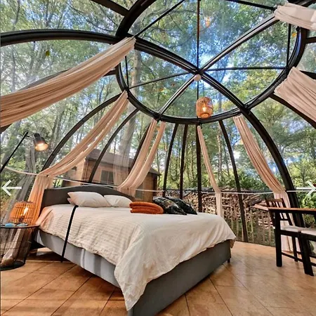 Le Dome De - Nuit Insolite Dans Les Bois